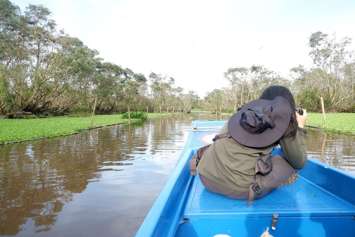 Bird watching, one of the tourist attractions in Tra Su Melaleuca Forest