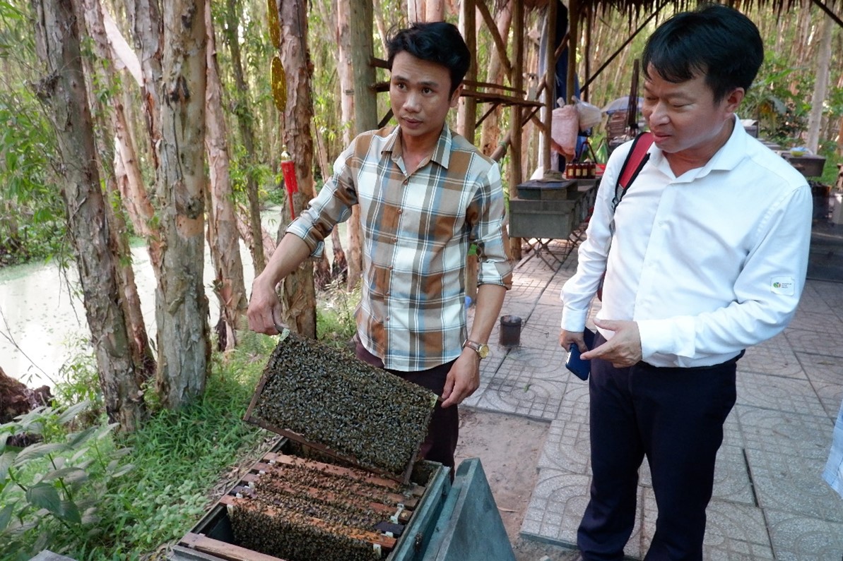 The honeybee is one of the products that can be found in Tra Su Melaleuca Forest